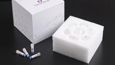 Wide Range of Epigenetic Assay Kits for Genomic Research