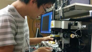 Report on High Temperature Stage Use for Research on the Properties of 2D Materials