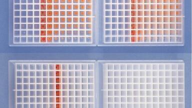 Eliminating Solvent Bumping and Foaming during Evaporation