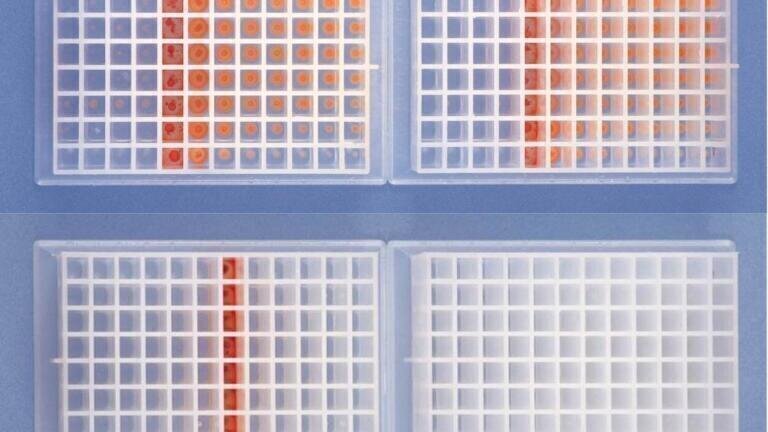 Eliminating Solvent Bumping and Foaming during Evaporation