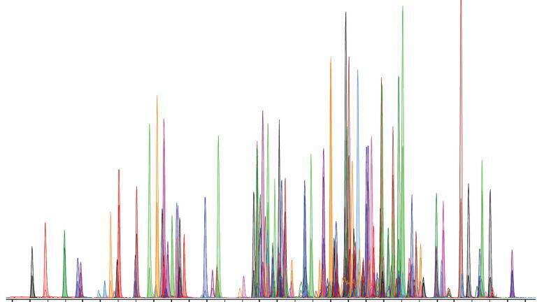 Anthias Consulting launch metabolomics training courses