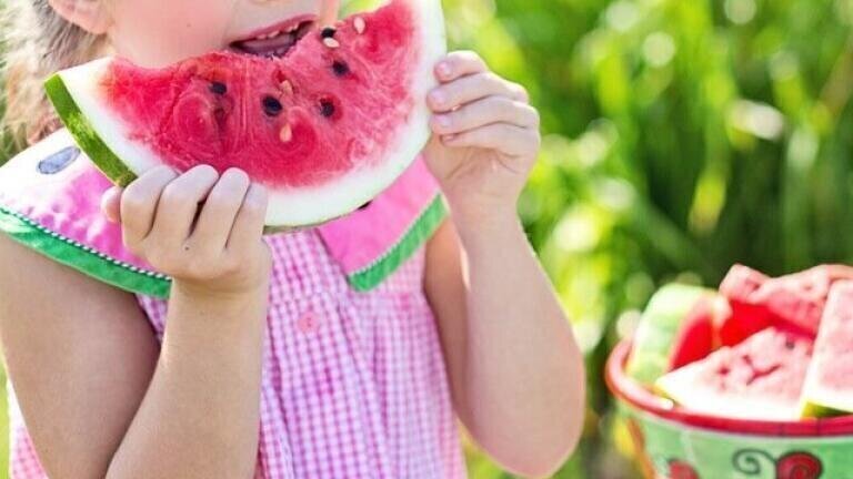 Is Fussy Eating Genetic?
