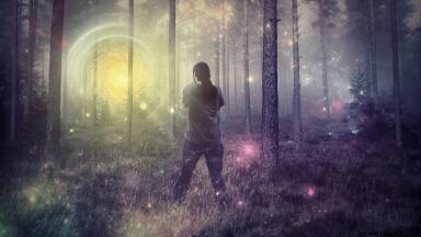 Why is Everyone Hallucinating?