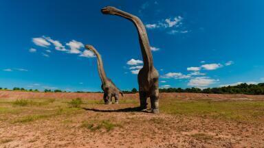 Have Scientists Discovered a Fossilised Dinosaur Brain?
