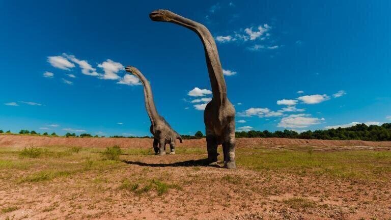 Have Scientists Discovered a Fossilised Dinosaur Brain?
