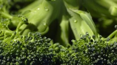 Is Broccoli the Secret to Anti-Ageing?