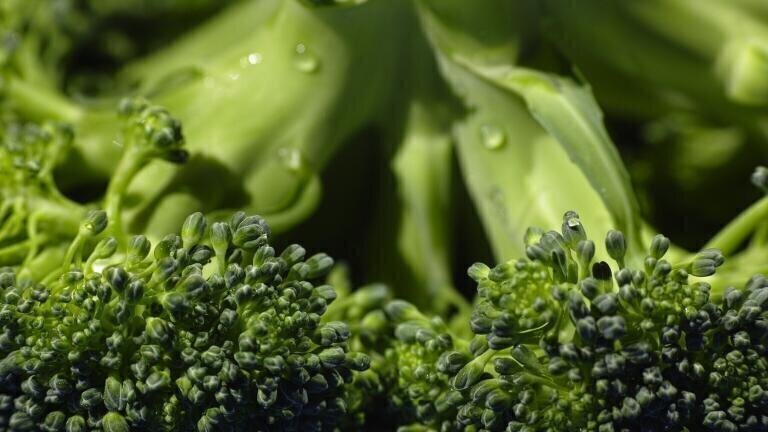 Is Broccoli the Secret to Anti-Ageing?