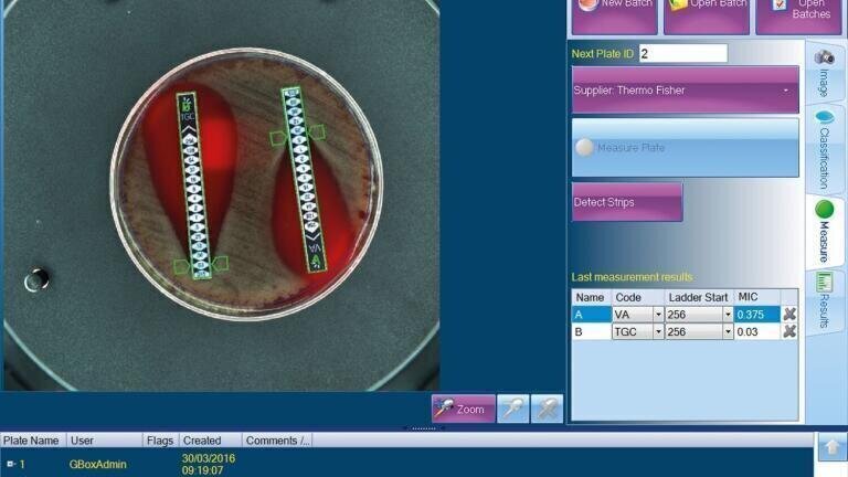 New MIC Strip Software Module Introduced