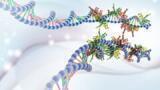 JPK’s NanoTracker™ 2 optical tweezers system is used in the Modesti group at the Centre for Cancer Research, INSERM, to manipulate individual DNA molecules