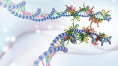 JPK’s NanoTracker™ 2 optical tweezers system is used in the Modesti group at the Centre for Cancer Research, INSERM, to manipulate individual DNA molecules