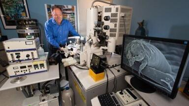 The Agricultural Research Service of the USDA uses a Quorum Cryo-SEM preparation system for the study of mites, ticks and other soft bodied organisms