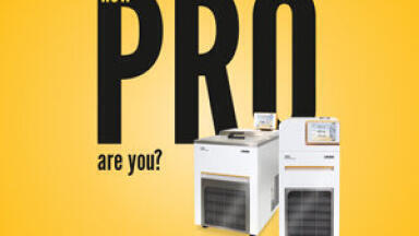 How PRO are you?