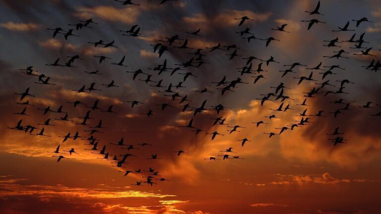 What is Nature Deficit Disorder?