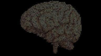 Can Neuroscience Tackle Mental Illness?