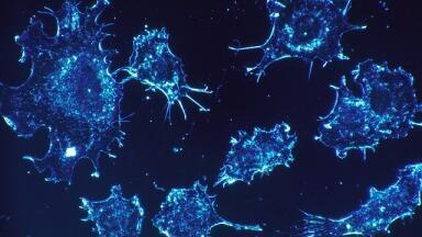 What Is Anastasis and is it Causing Cancer?