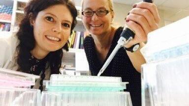 Racking System Provides a Greener Alternative for Pipetting