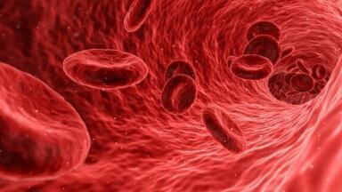 Could Resetting Blood Proteins Slow Ageing?