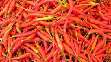 Do Chili Peppers Make You Live Longer?