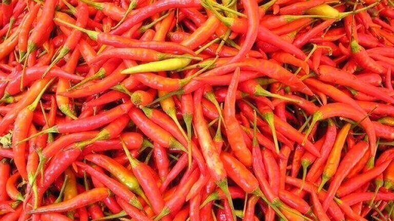 Do Chili Peppers Make You Live Longer?
