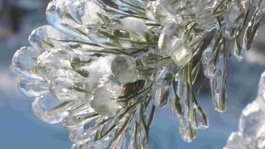 ‘Arctic Blast’ yields better Lyophilisation results
