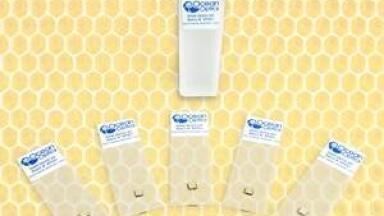 The Buzz Around Nanosponge SERS and Trace-Level Detection