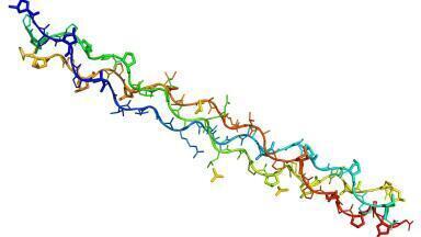 Collagen/ Bio-Scaffolds