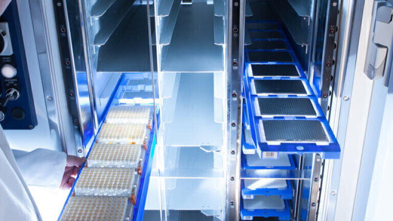 Service Provides Option for Outsourcing Compound Management