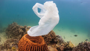 Easy analysis of dissolved polymers in seawater by pyrolysis