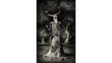 Wellcome Image Awards Reflect Stunning Science