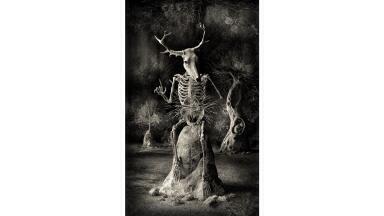 Wellcome Image Awards Reflect Stunning Science