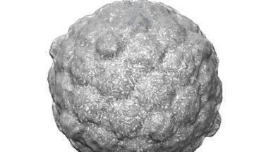 York funding boost for Cryo-EM Equipment