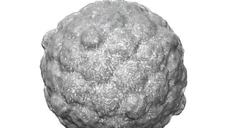 York funding boost for Cryo-EM Equipment