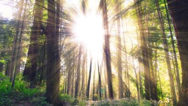 What is the Point of an Artificial Sun?
