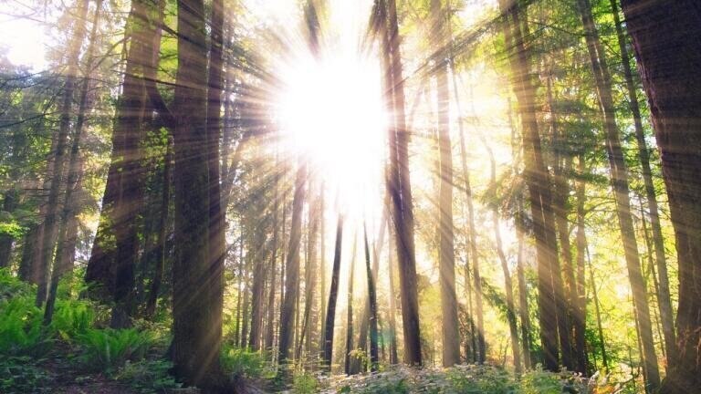 What is the Point of an Artificial Sun?