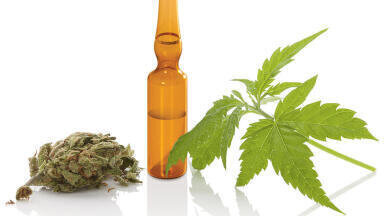 New THCV Standard for Medical Cannabis Testing