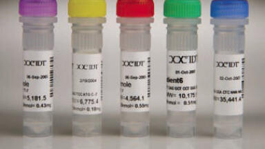 High-Quality RNA Duplexes for RNAi