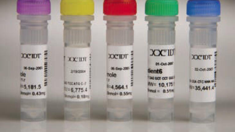High-Quality RNA Duplexes for RNAi