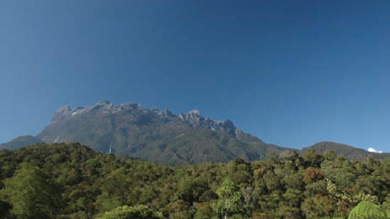 The Global Impact of Climate Change on Biodiversity
