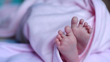 Could a Fake Womb Help Premature Babies?