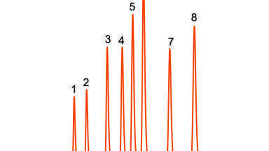 Column Provides Fast Separations Between pH 1 and 12 Using Solid Core Technology