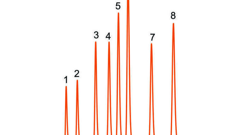 Column Provides Fast Separations Between pH 1 and 12 Using Solid Core Technology