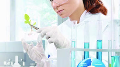 Passing the Audit Risk-Based Process Verification with Good Weighing PracticeTM