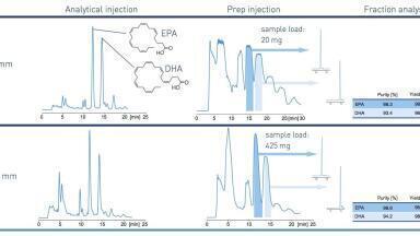 From discovery to production with the same chromatographic partner across the board