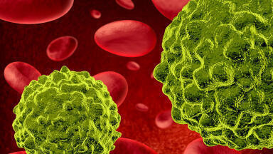 IDO Pathway Products for Immunotherapy Drug Research