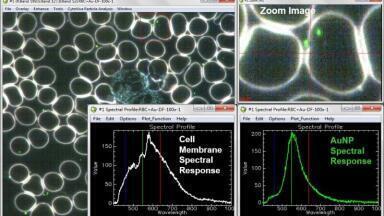 Hyperspectral Imaging of Gold Nanoparticles in Live Blood Cells