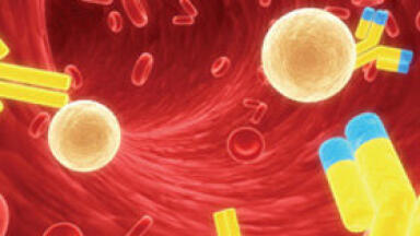 MRSA - Weak Point - Visualised by Scientists