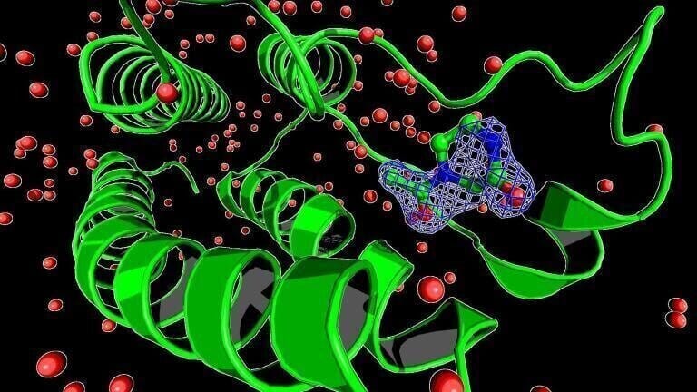 Hidden 3D Data Unveiled by PanDDA