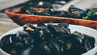 How Can Mussels Help with Scarring? 