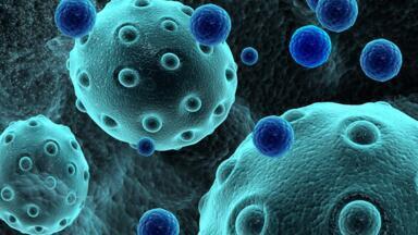 Purified Cancer Exosome Samples