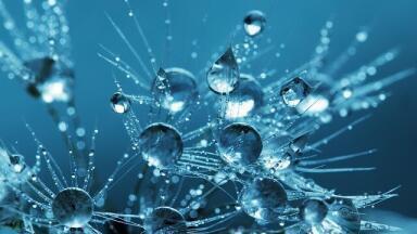 How Can Bubbles Improve Cancer Treatment? 